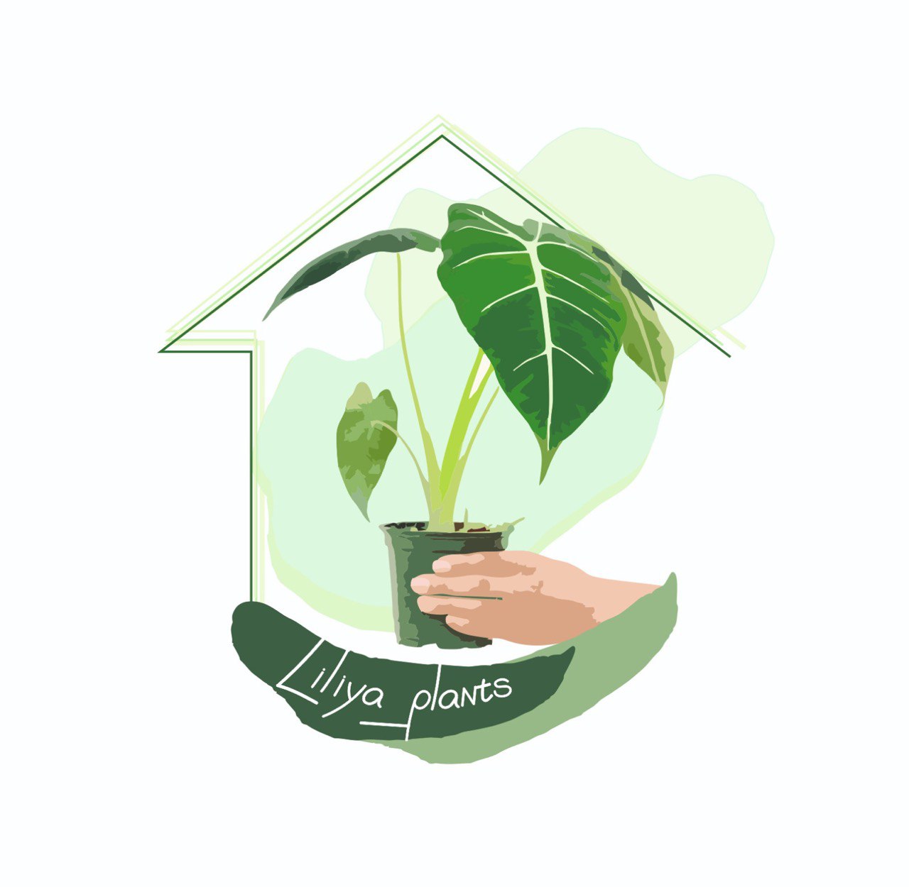 Студия фитодизайна LiliyaPlants - уход, пересадка, озеленение помещений  растениями - Казань